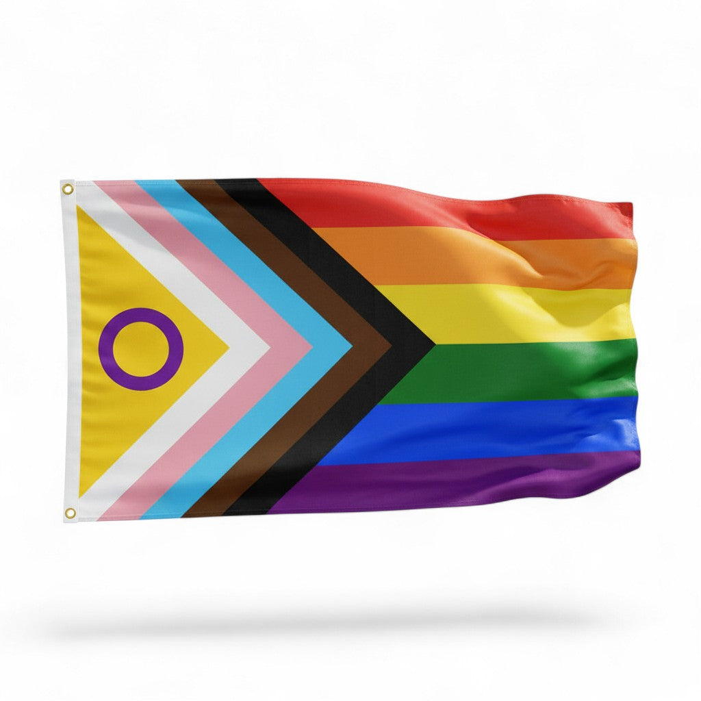 Progress Pride Flagge (NEW) (90x150 cm)