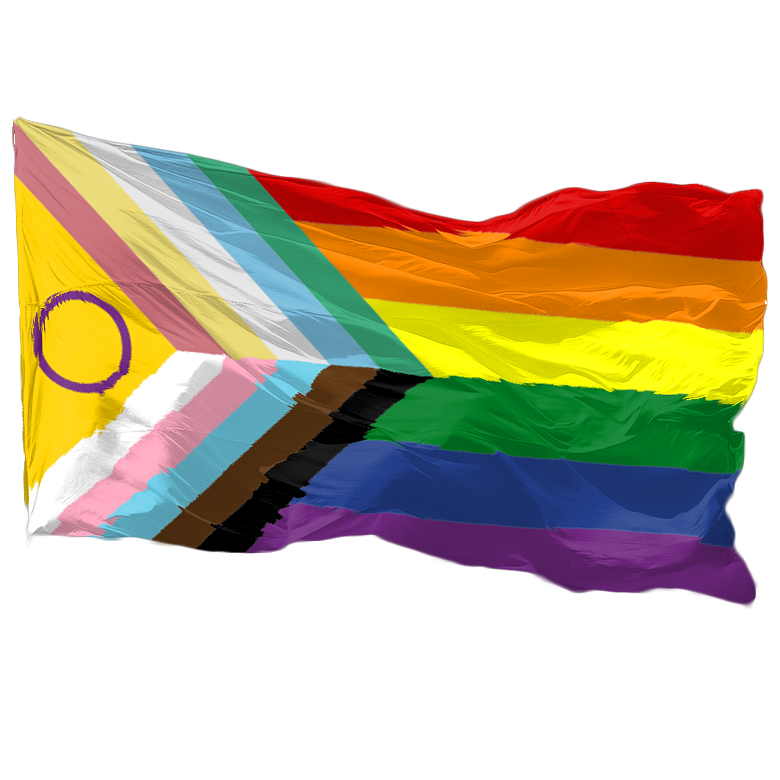 Disability Inclusive Progress Pride Flagge (90x150 cm)