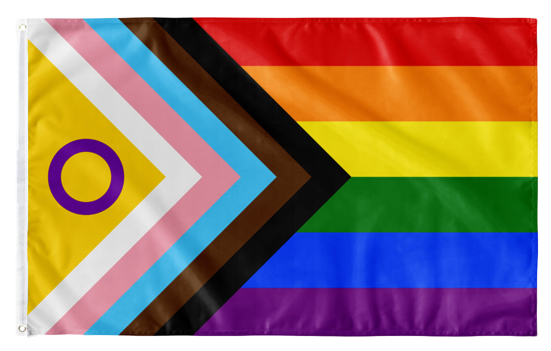 Progress Pride Flagge (NEW)