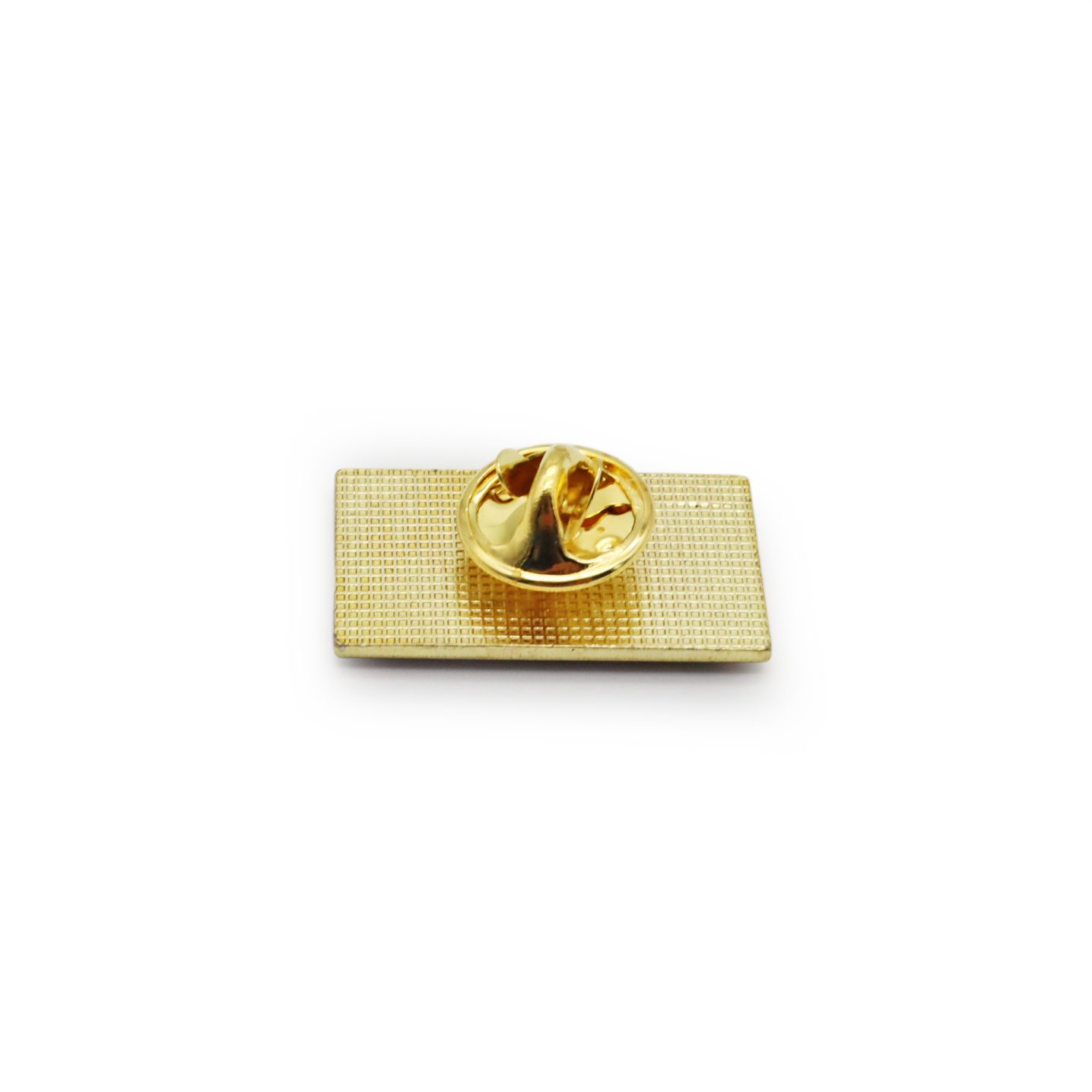 Messing-Rückseite von Progress Pride Pin