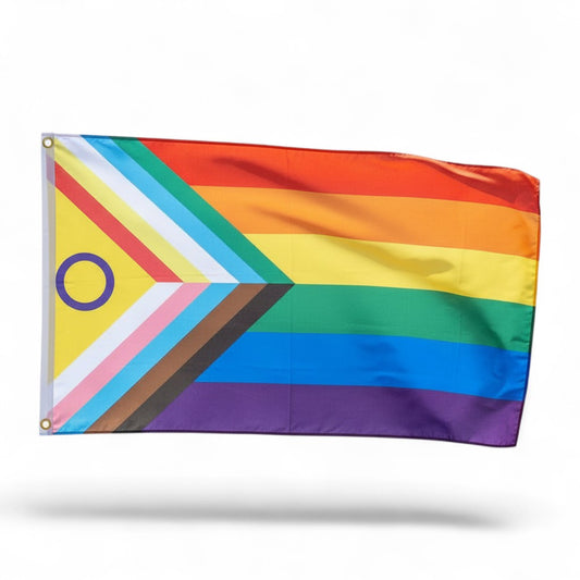 Disability Inclusive Progresse Pride Flagge (60x90 cm)
