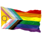 Disability Inclusive Progress Pride Flagge (90x150 cm)